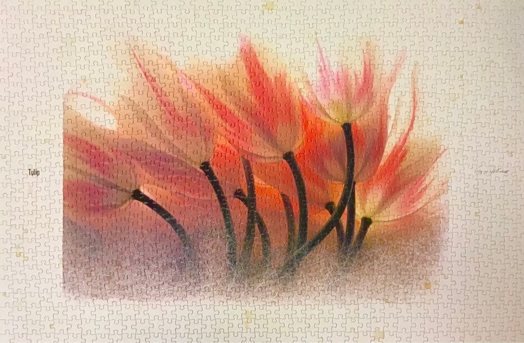 ショージヨシダ作 「チューリップ」 ジグソーパズル 1000ピース　アート写真