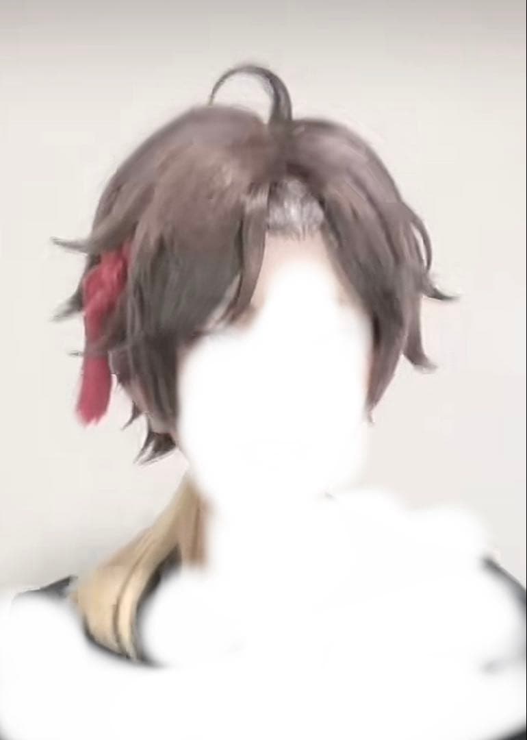 にじさんじ 三枝明那 コスプレ ウィッグ - メルカリ