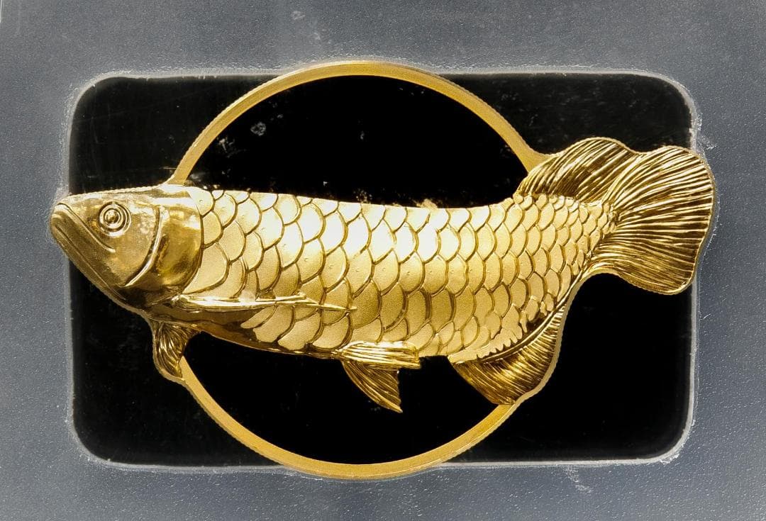 最高鑑定　PCGS-PR70 DCAM FDI パラオ アロワナ 2019 銀貨 最高鑑定 PCGS-PR70 DCAM FDI パラオ アロワナ 2019 銀貨 - メルカリ