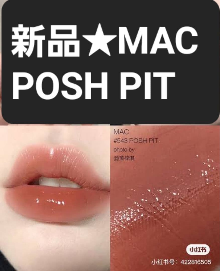 期間限定価格 新品 POSHPIT MACLipstick