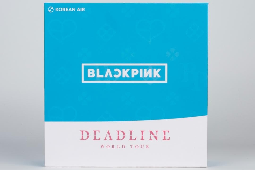 大韓航空 777-300ER HL2016 Black Pink 1/400 - メルカリ