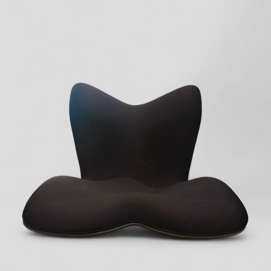 土日セール！スタイルプレミアム Style PREMIUM 骨盤サポート