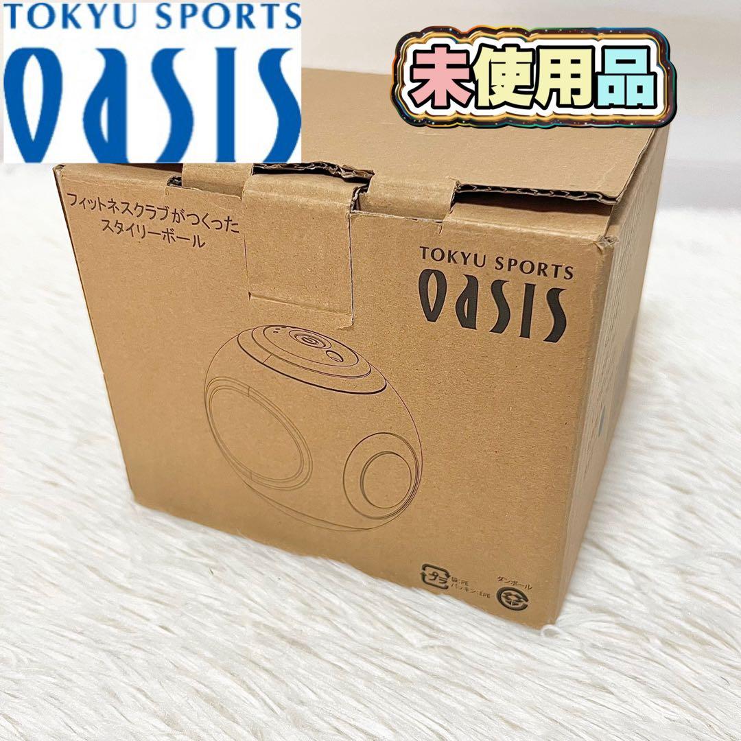 【未使用品】東急スポーツオアシス スタイリーボール SLB-100