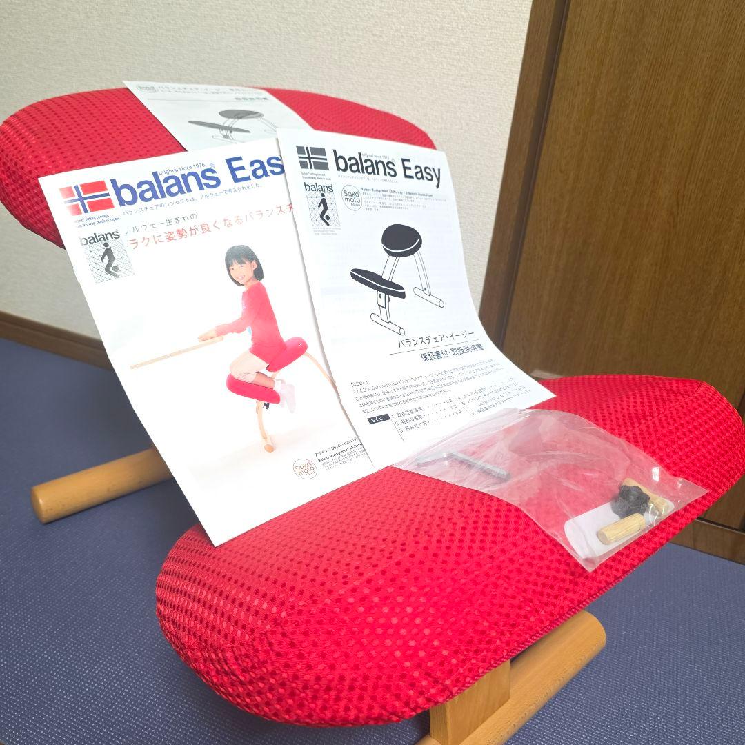 270】Rybo リボ社 Balans Easy バランスイージー カバー付
