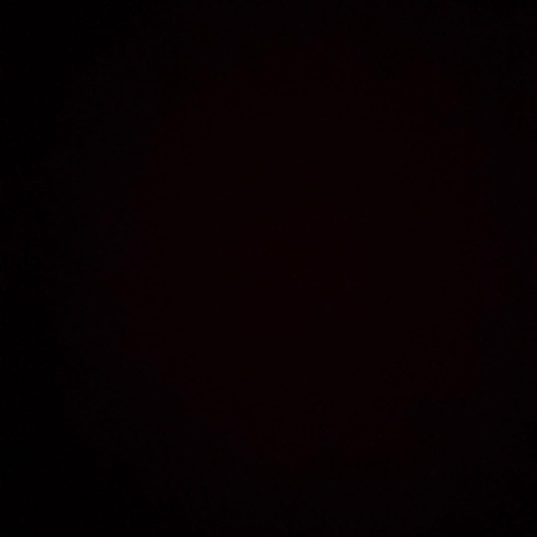 ブルーバード#プロフィール必読 　真骨彫クウガアルティメットフォーム 抽選販売】S.H.Figuarts（真骨彫製法） 仮面ライダークウガ