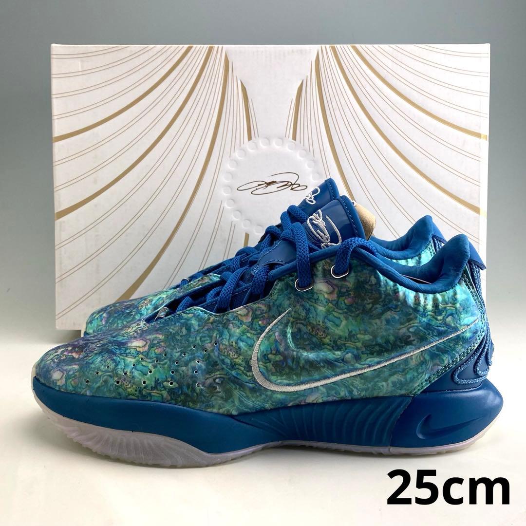 25cm ナイキ レブロン21 \