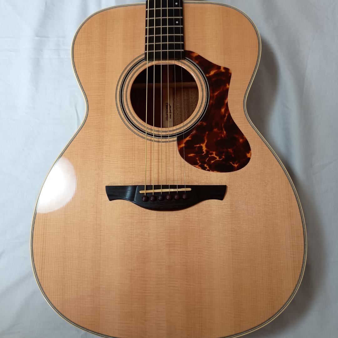 美品 HISTORY NT-S4 アコースティックギター ハードケース おまけ付