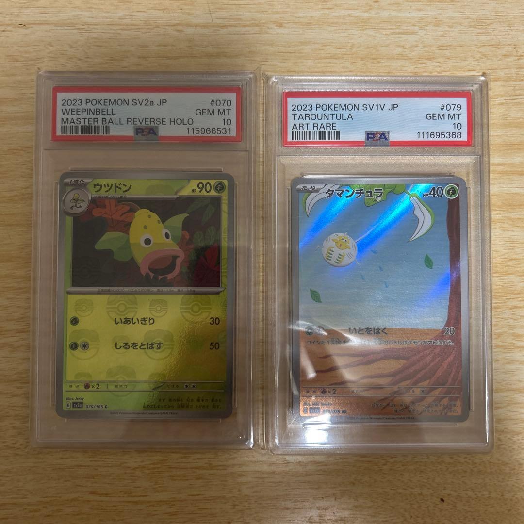 次*日様 タマンチュラAR ウツドンマスボミラー　psa10