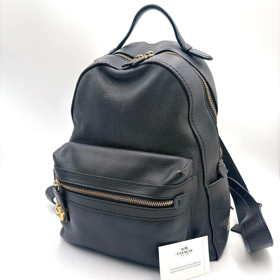 超レアモデル✨コーチ レザー リュック バックパック ターンロック ペブルレザー