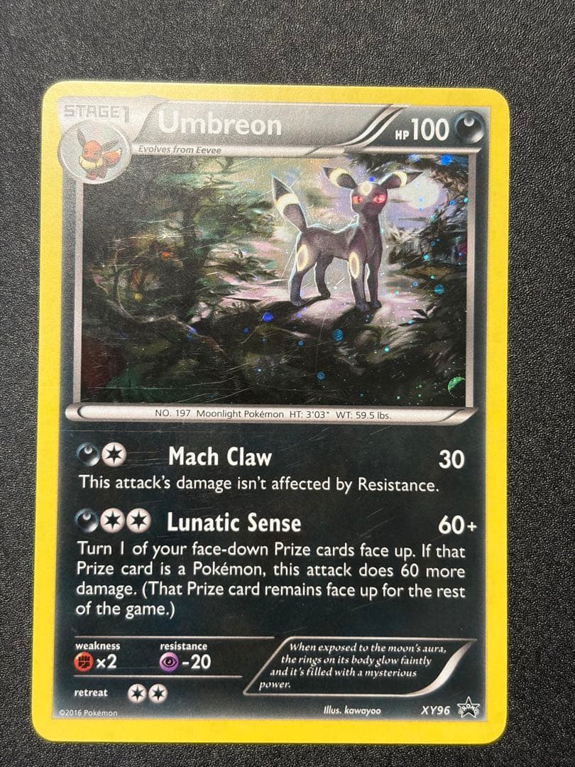 ブラッキー：ナイトバトル PROMO XYプロモ