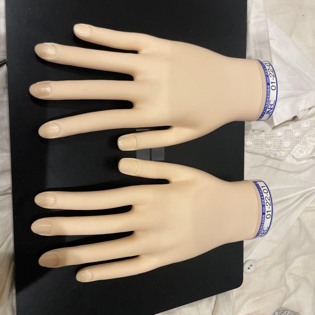 JNEC 認定モデルハンド 箱付き