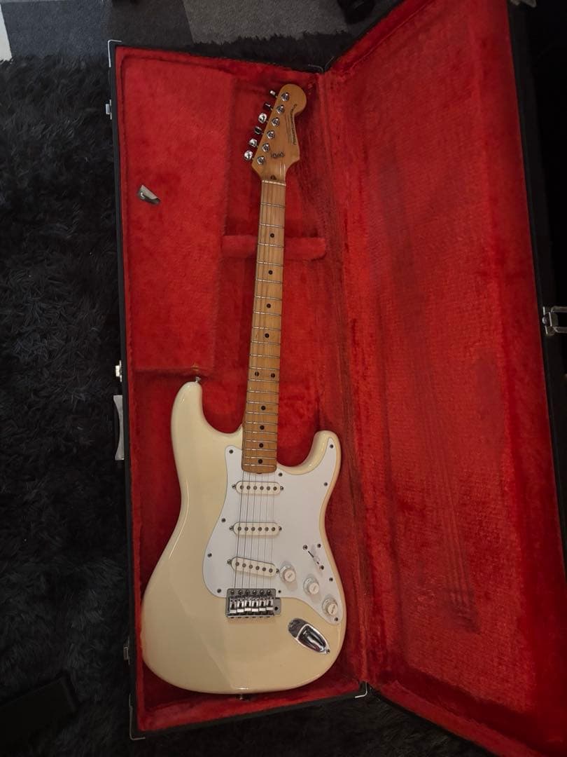 fernandes 石ロゴFST-85 ハードケース　フェルナンデス