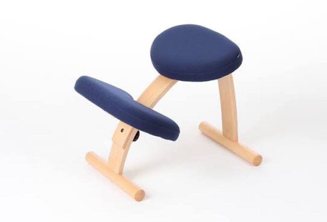 【詳細画像付き】balans Easy 骨盤・姿勢矯正用チェア 説明書付属 ラクに姿勢がよくなる椅子｜バランス イージー バランスラボ