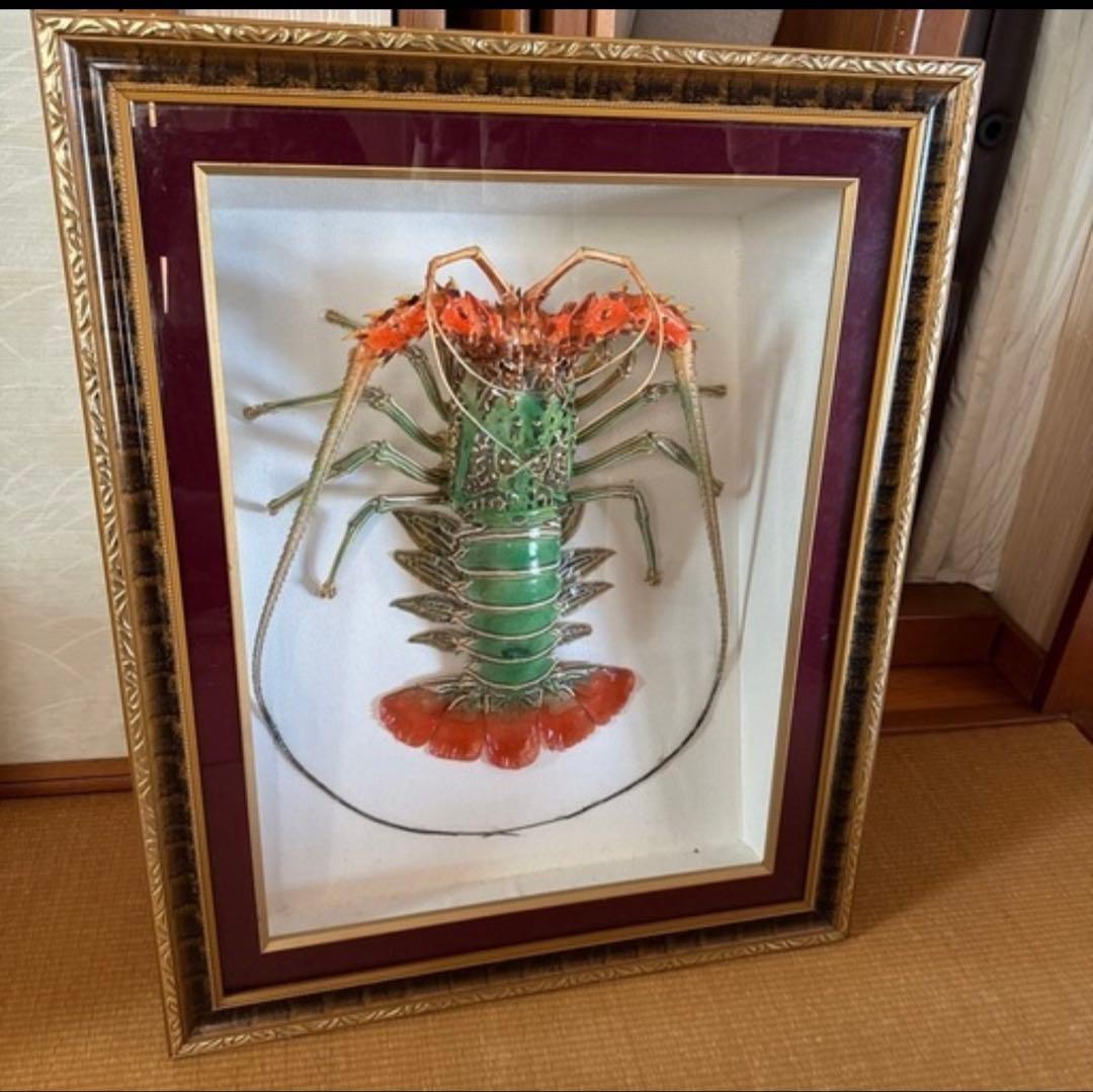 ゴシキエビ 標本 アンティーク 額装標本 ニシキエビ 錦海老 伊勢海老 えび 剥製 - メルカリ