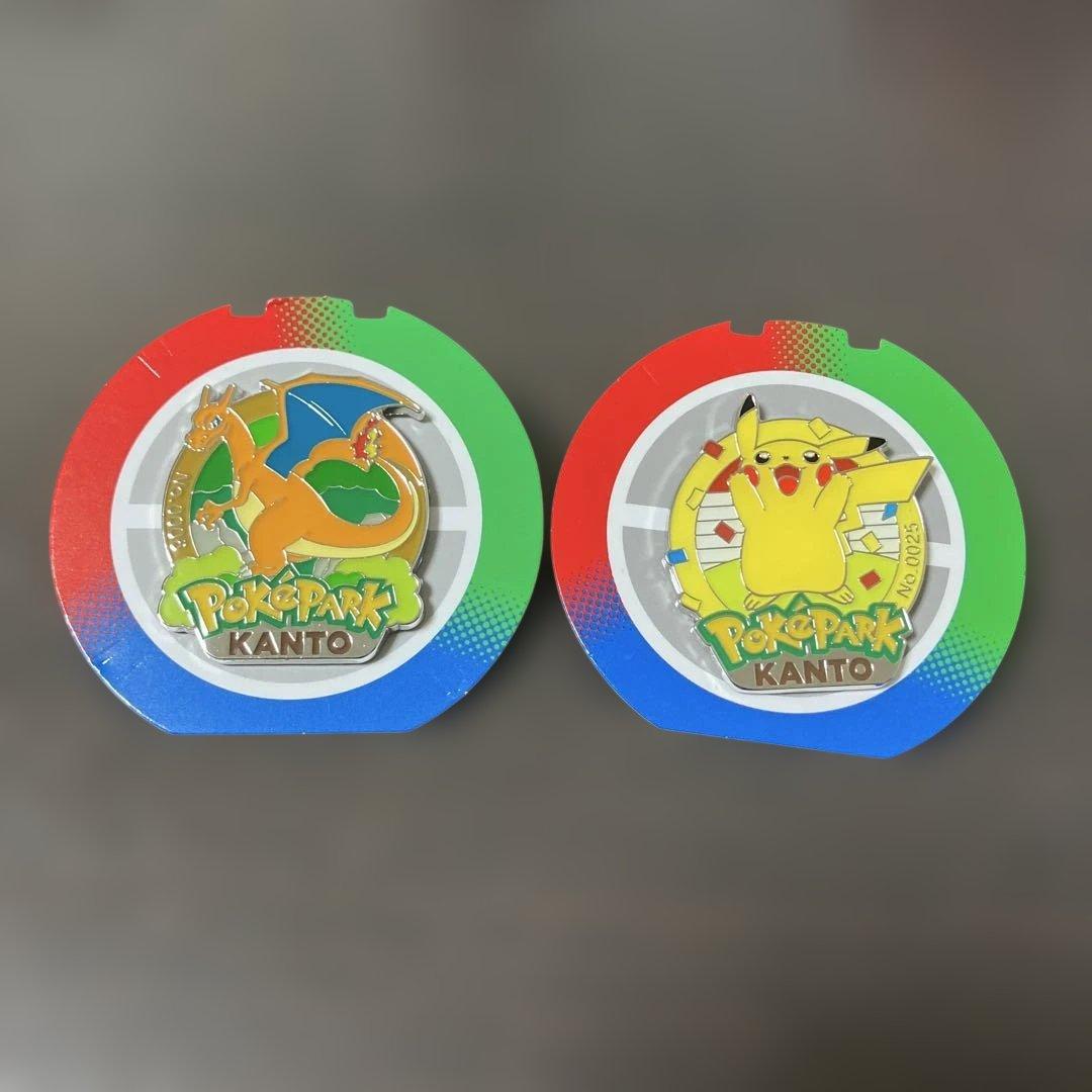 ポケパークカントー　ピカチュウ　リザードン