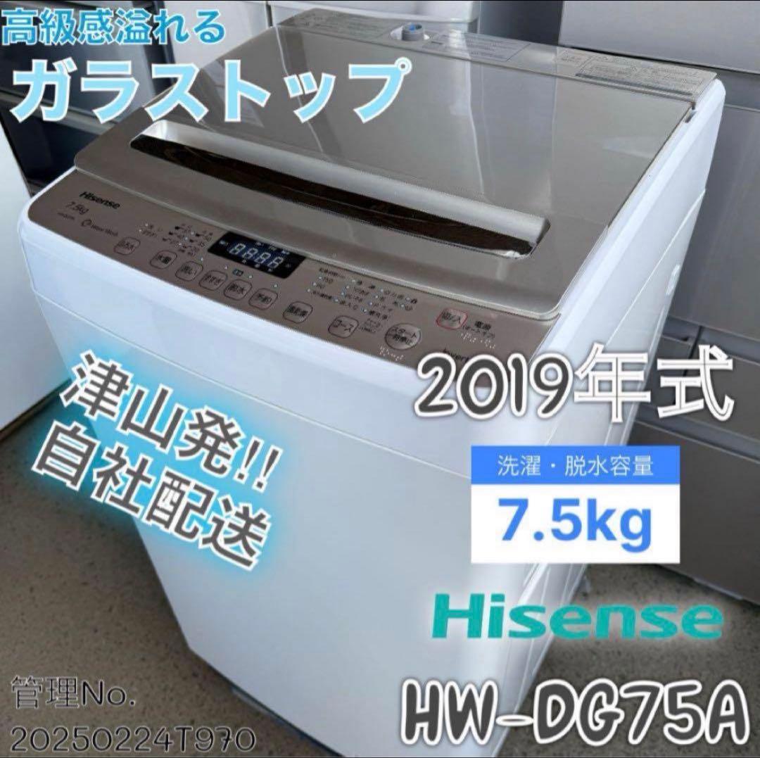 2019年式 7.5kg Hisense 洗濯機 HW-DG75A