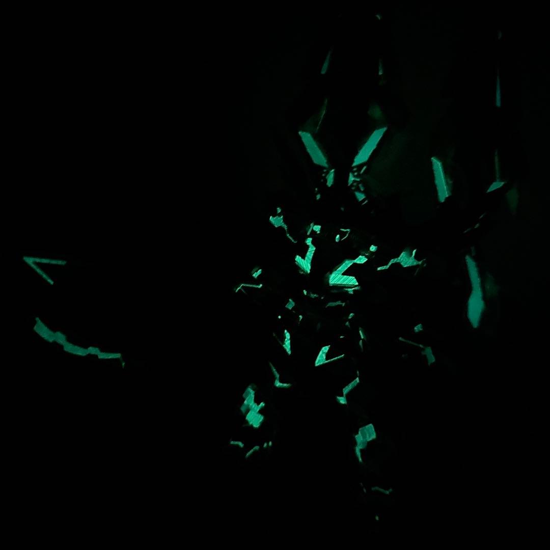 RG フェネクス 蓄光