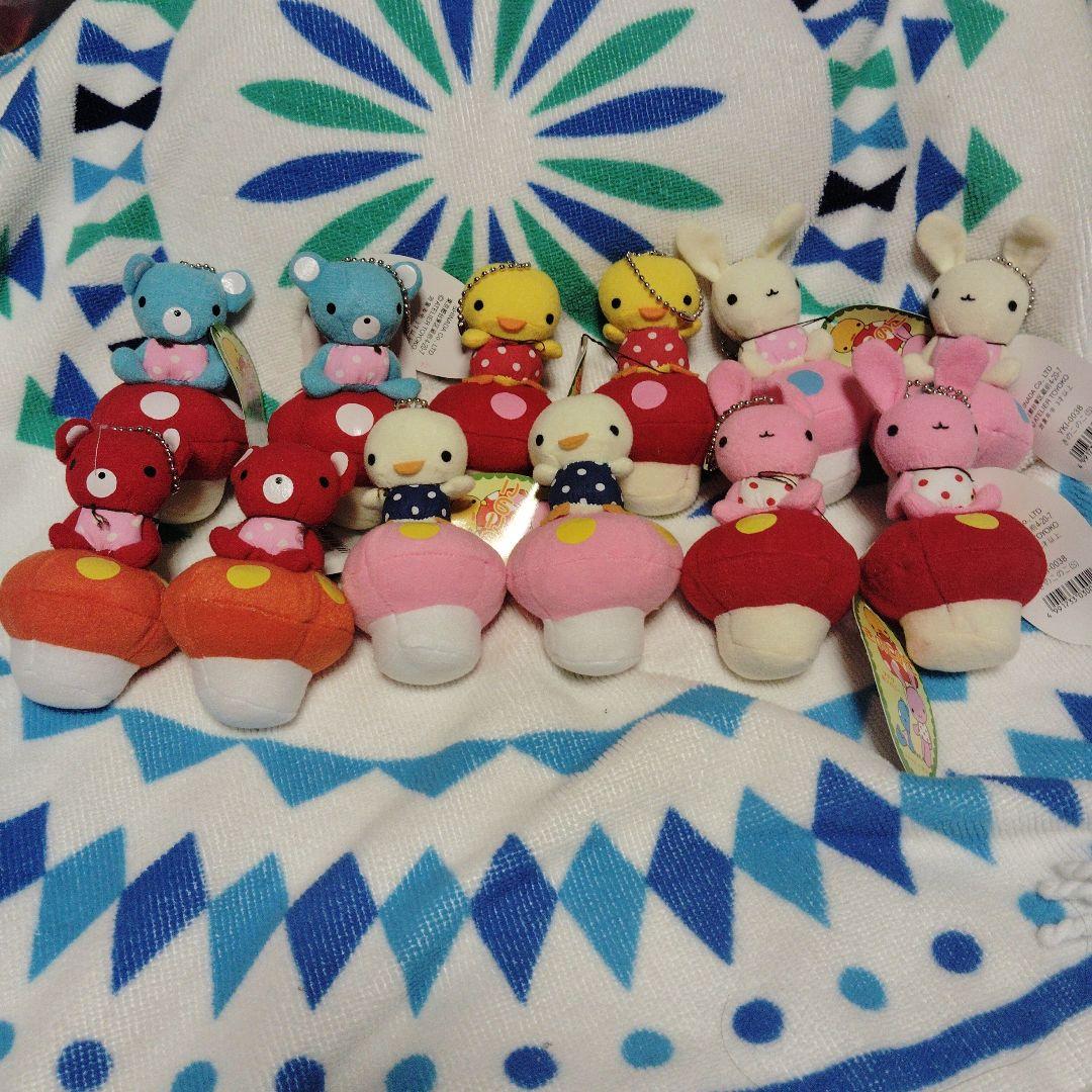 ⑨アトリエトヨコ　きのこのこ