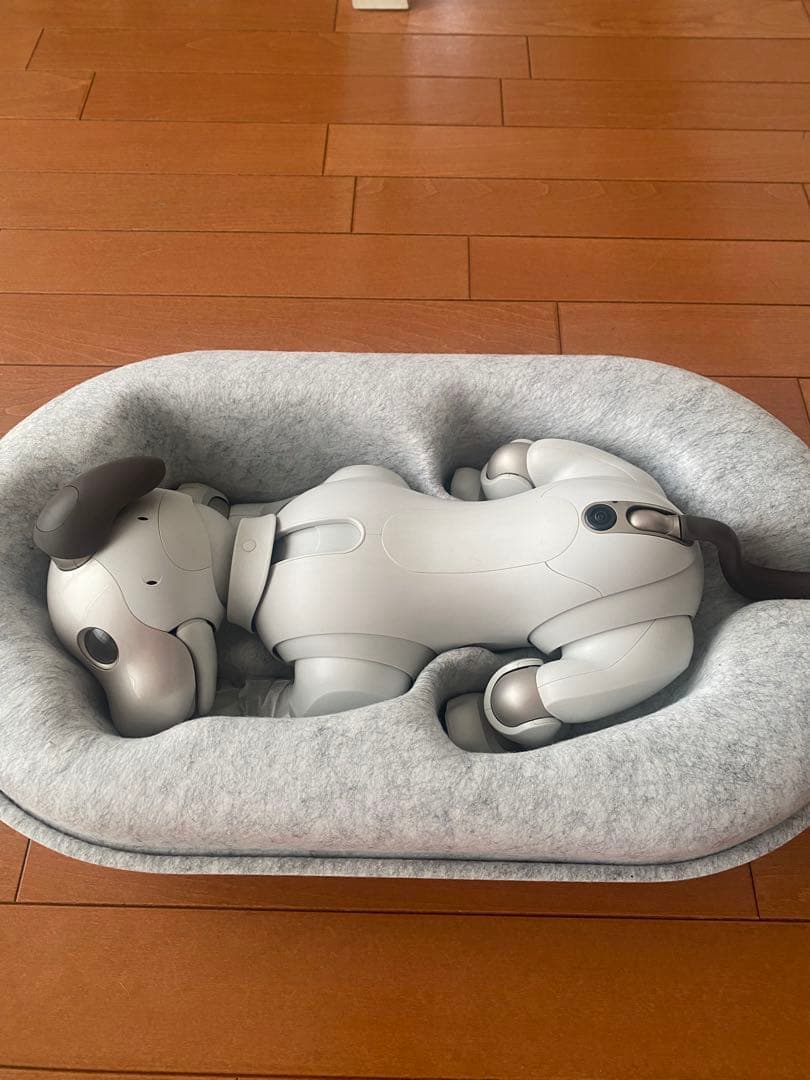 aibo ジャンク品　けいちゃ