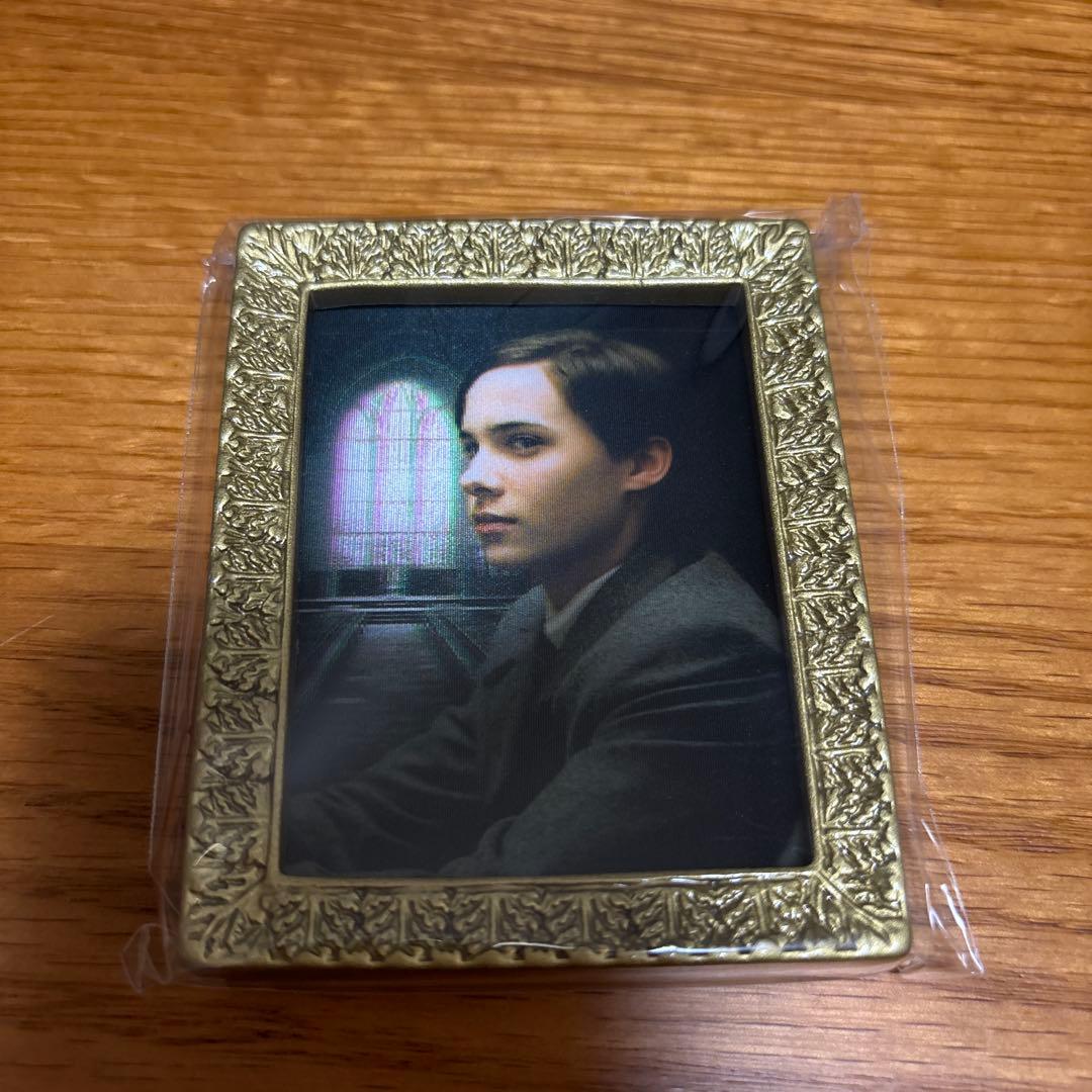 ハリーポッター 肖像画マグネットコレクション トムリドル - メルカリ