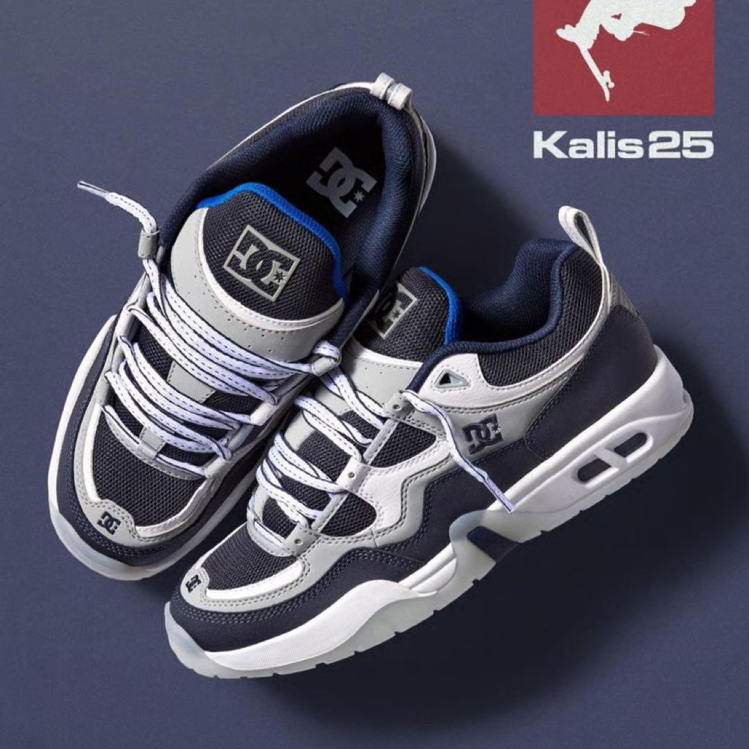 dc shoes truth og 28.5cm 10.5 美品