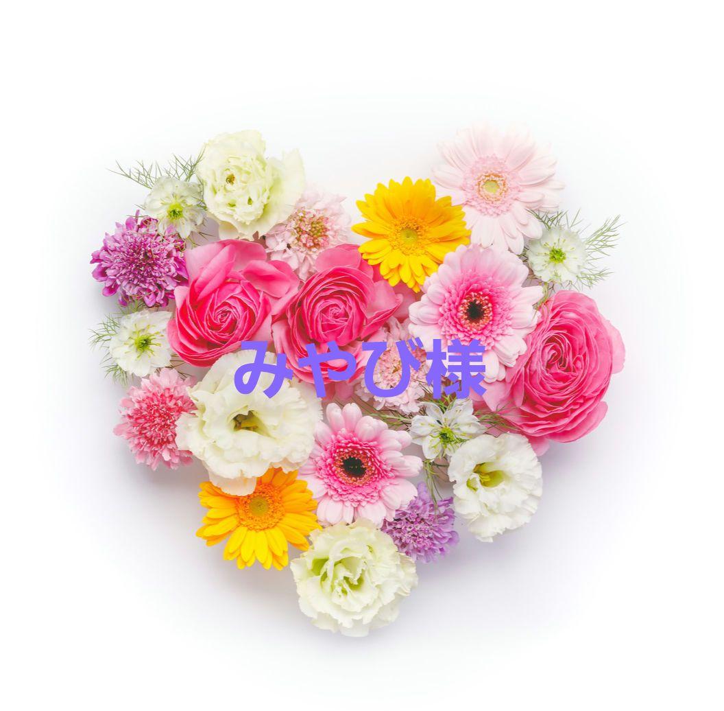 Wacoal　サルート　店舗限定　29G　キャミソール　ソング　RE　M