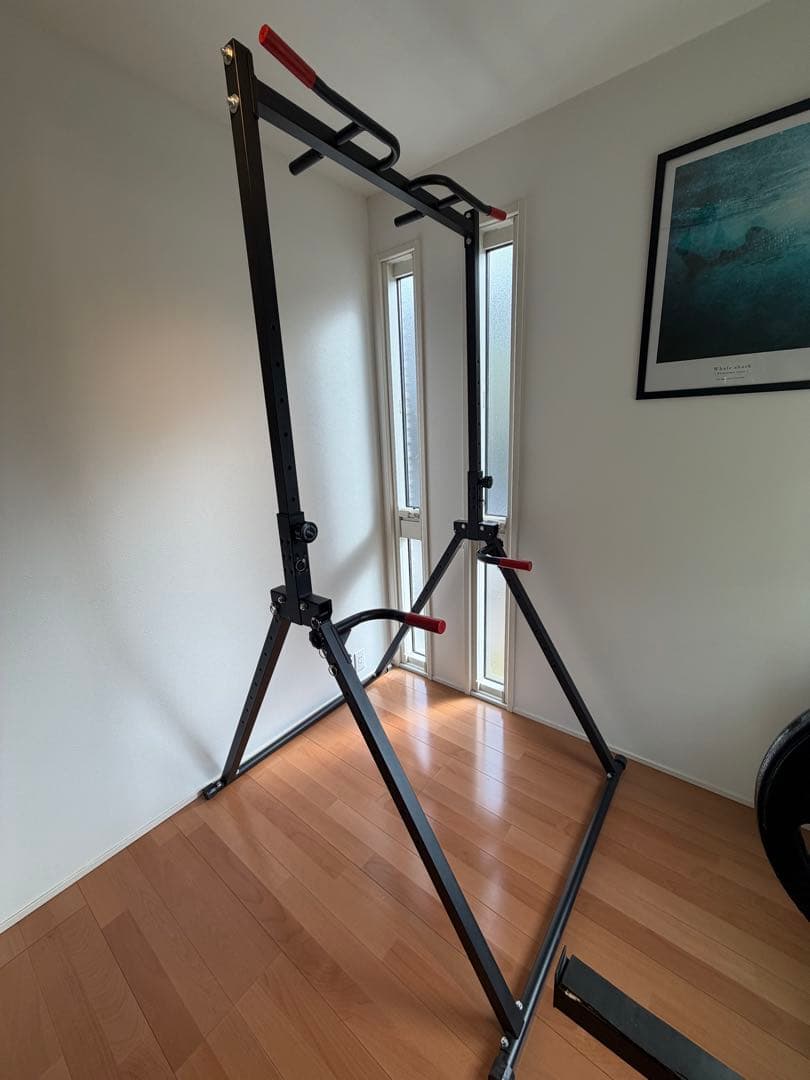 WASAI（ワサイ）懸垂マシン　チンニング　ぶら下がり健康器　JH010