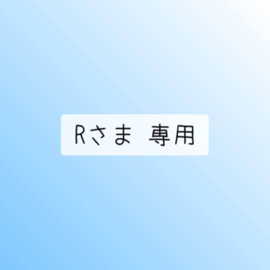 Rさま 専用 Slip-On HEPTA FORCE TSS サイクロン用 サイレンサーブラケット SET