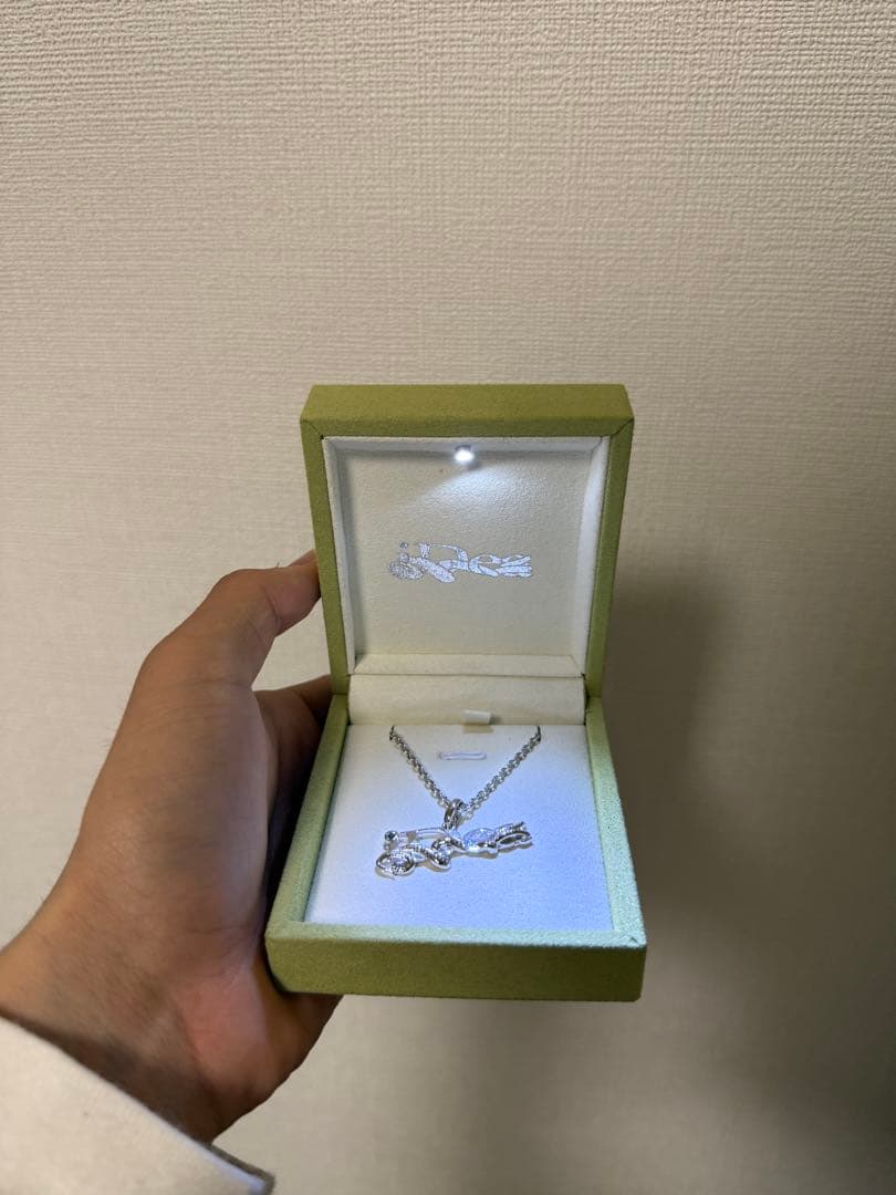 数量限定 10点 ideaswam ネックレス