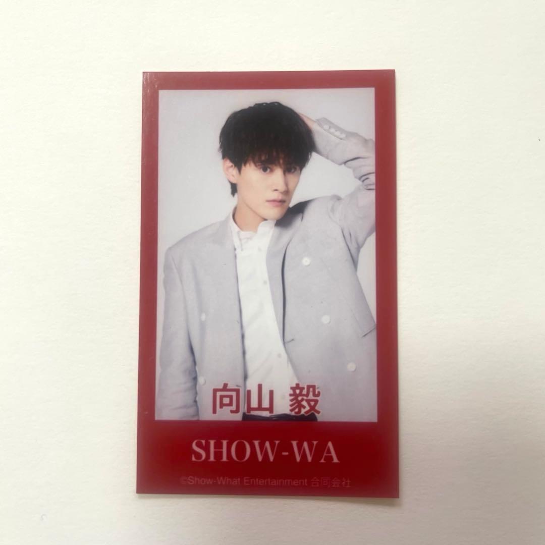 SHOW-WA 向山毅 トレカ - メルカリ