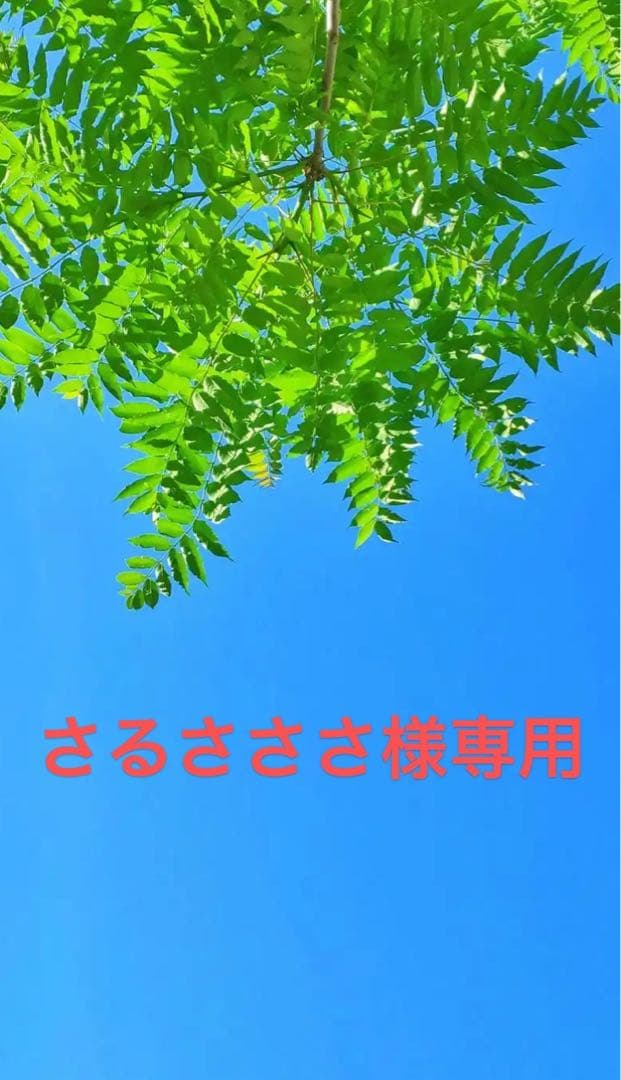 さるさささ ムートンブーツ ベージュ サイズ37 サボサンダル ムートンブーツ レディース アンクルブーツ モック