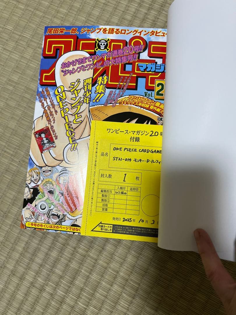 ワンピースマガジンNo.20 ルフィプロモ付き