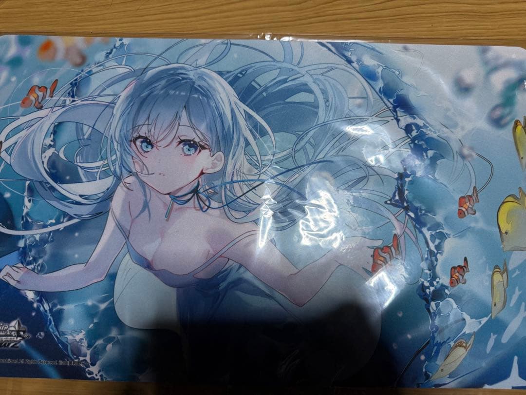 BCF2025 入賞　プレイマット