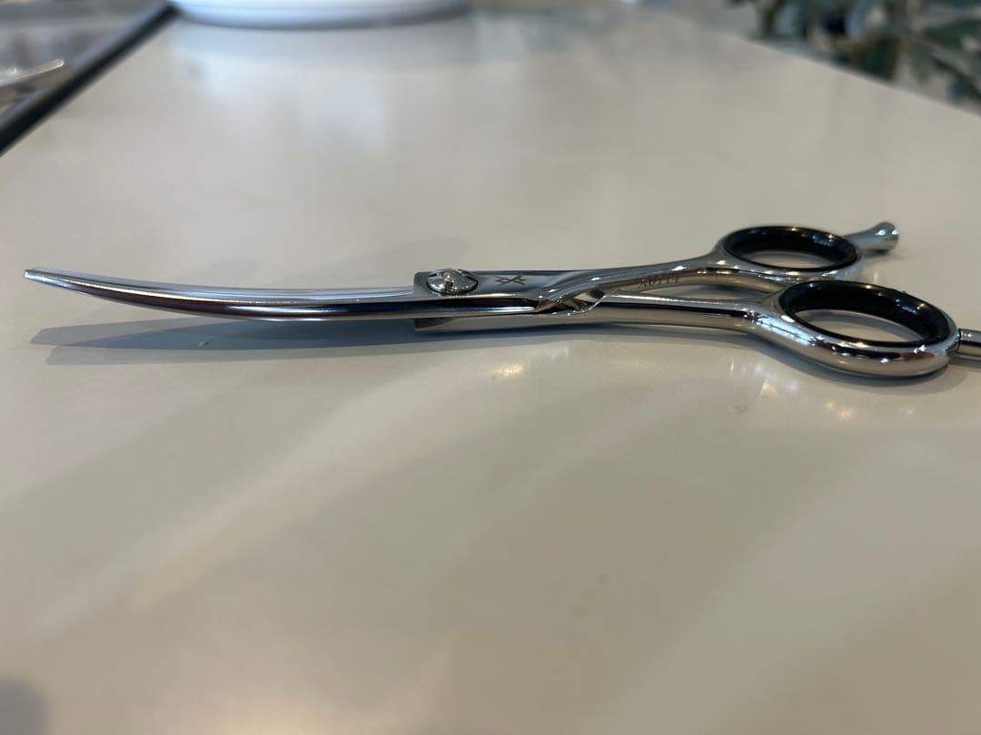 サイキシザー　マックスカーブ5.5 笹刃