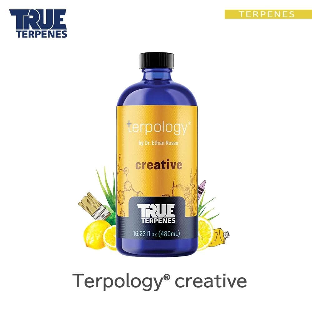TRUE テルペン 510 CBD CBN CBG 10ml クリエイティブ