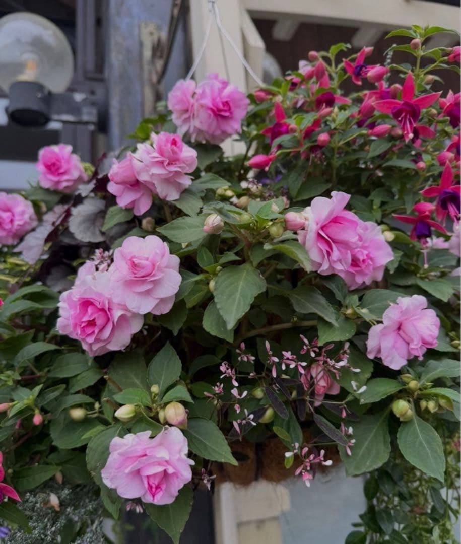 くるにーなです⭐︎ トレフルワコール⭐︎C65 新品　豪華上下セット ニッセン（nissen） ワコール ブラジャー ワイヤー入り レディース