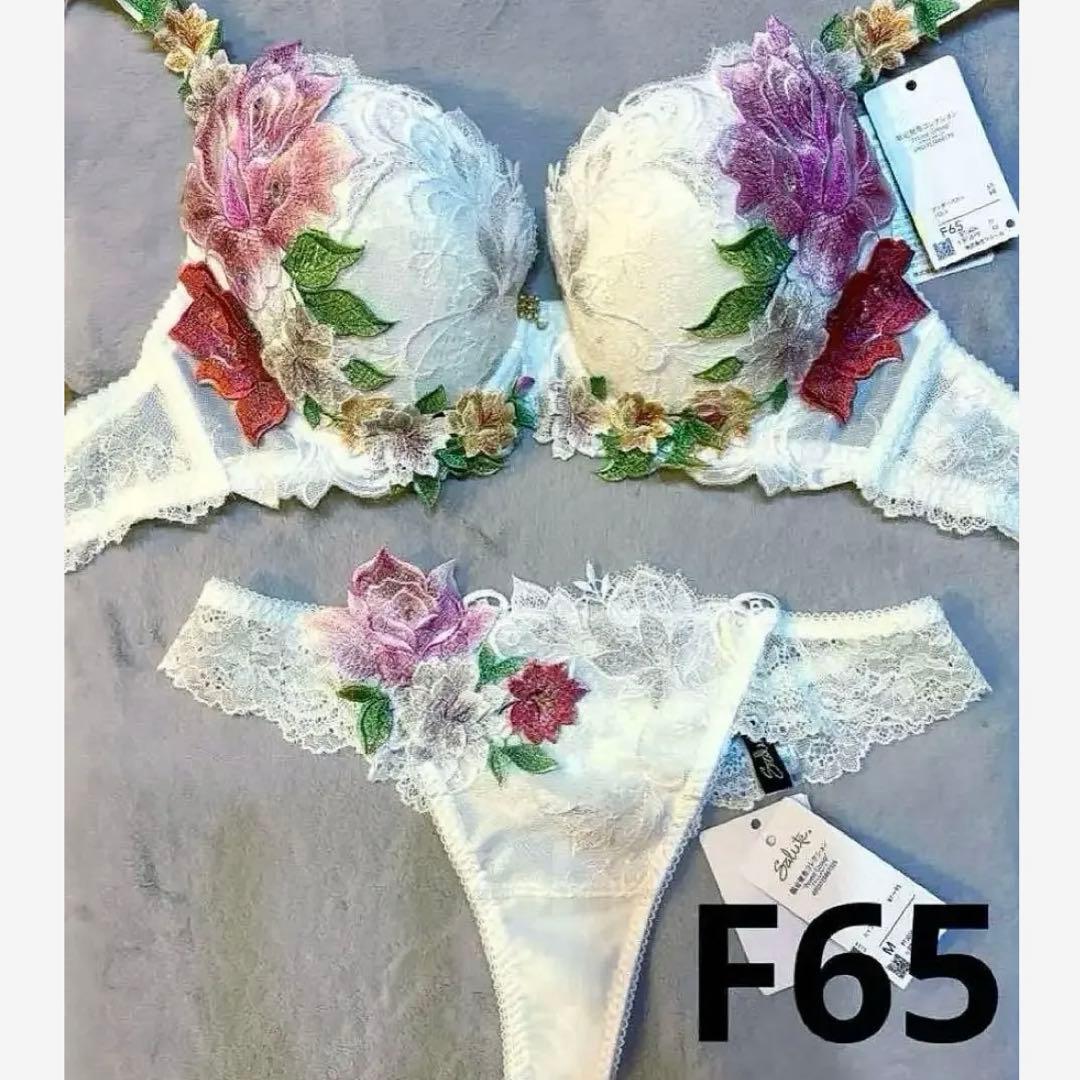 クニ⭐︎店舗限定販売　サルート０９　Ｆ６５　ソングＭ　新品未使用　ワコール