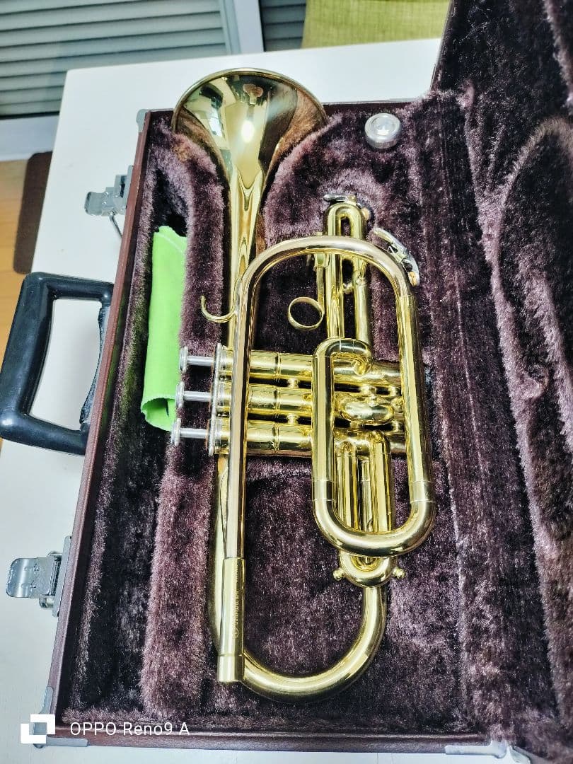 ゴールドトランペット ケース付き 楽天市場】bags バッグス EFTR M-GOLD トランペット ケース メタリック