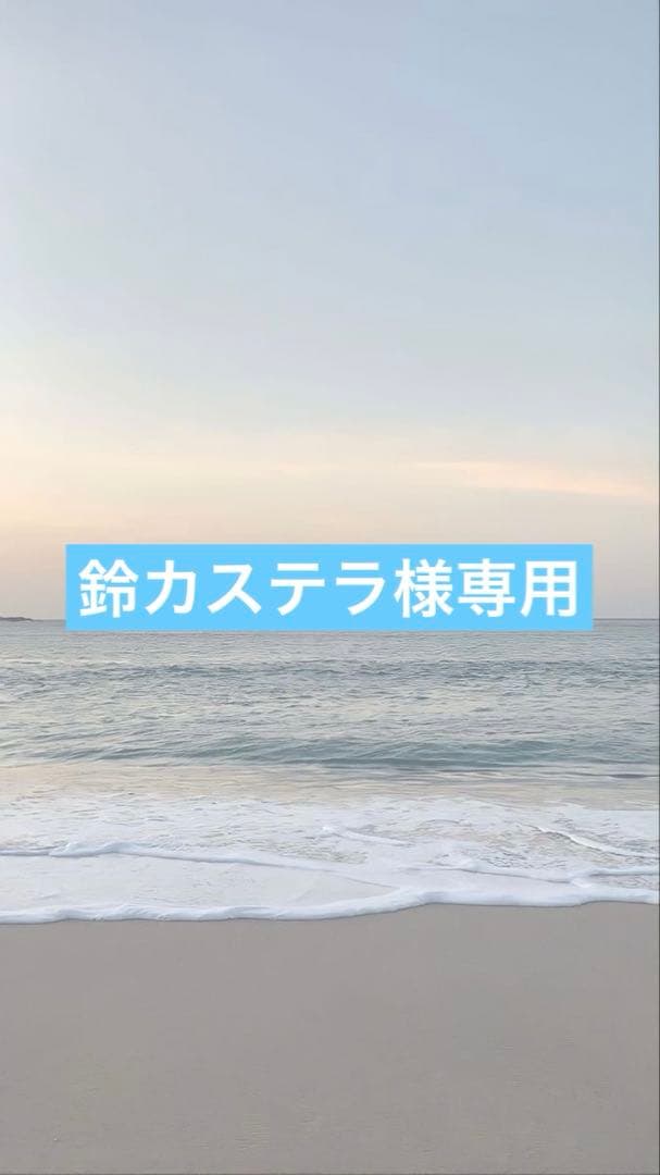 鈴カステラインメトリィ1.8Lセット