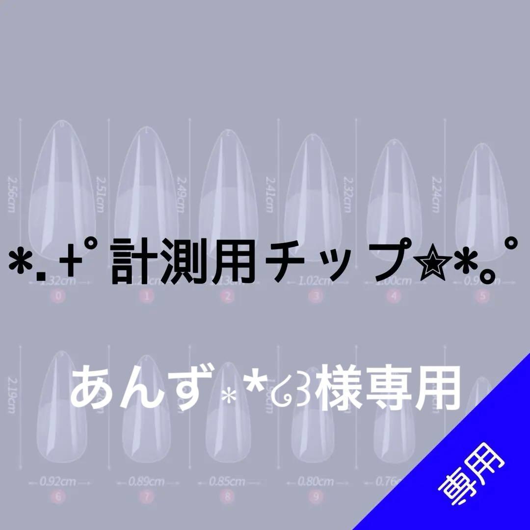 ✦⋆【あんず∗*໒꒱ 】計測用ネイルチップ ⋆✦