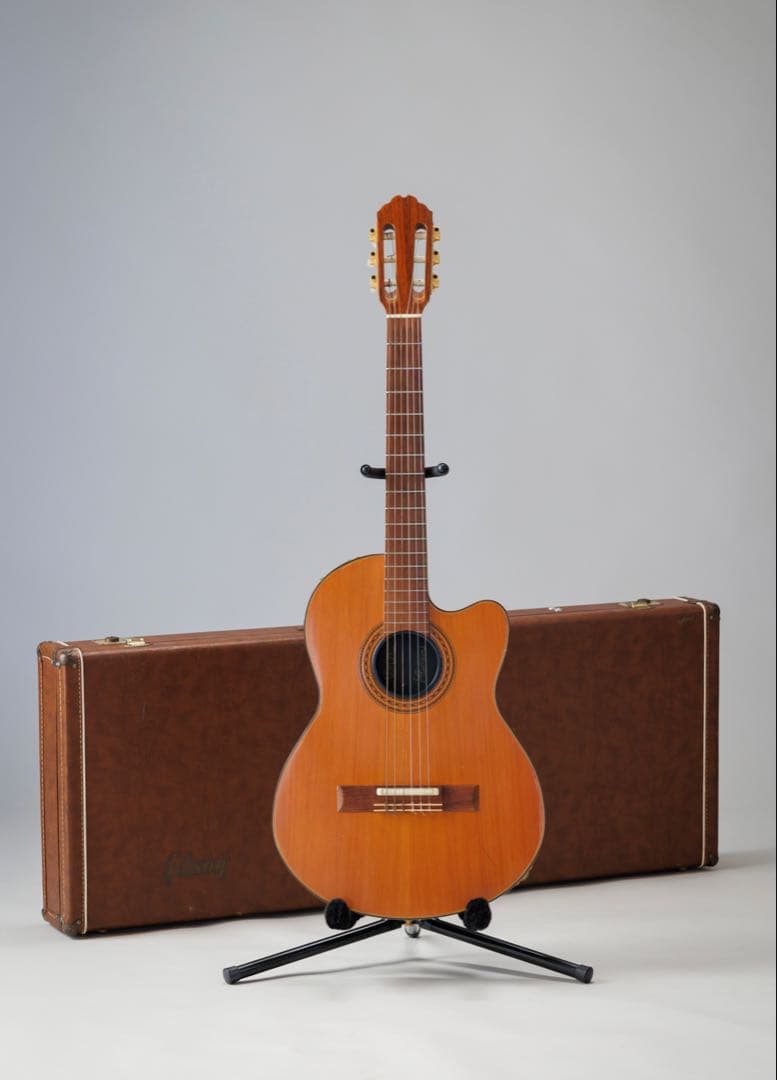 ギター Gibson Chet Atkins CE