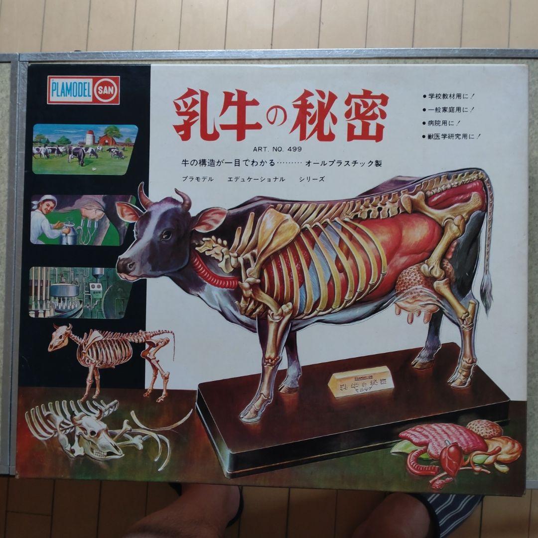 年始セール。マルサン　乳牛の秘密　プラモデル 年始セール。マルサン 乳牛の秘密 プラモデル