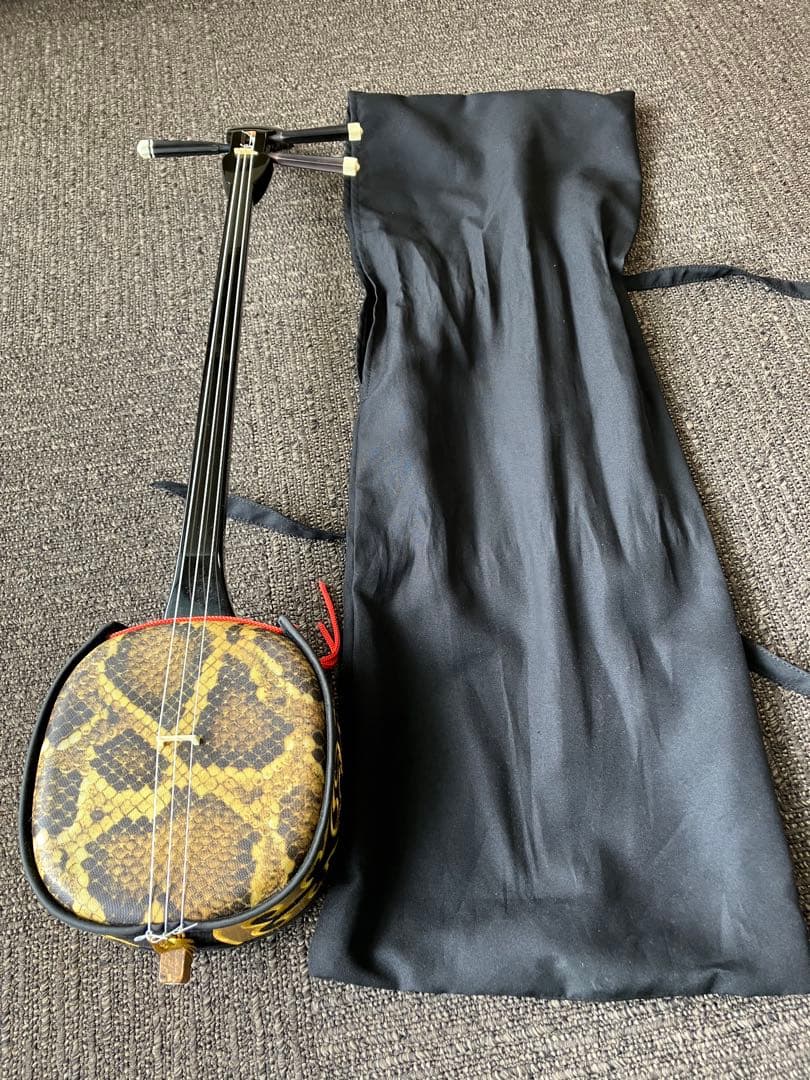 三線本体 専用ケース付き SONYウォークマン NW-ZX707対応 キャリングケース/ファスナー 専用