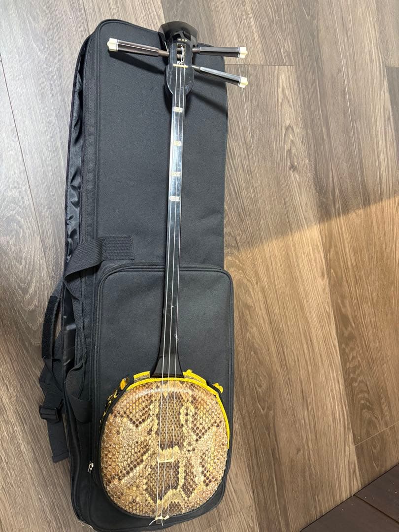 ヘビ皮 沖縄　三線　 ケース付き