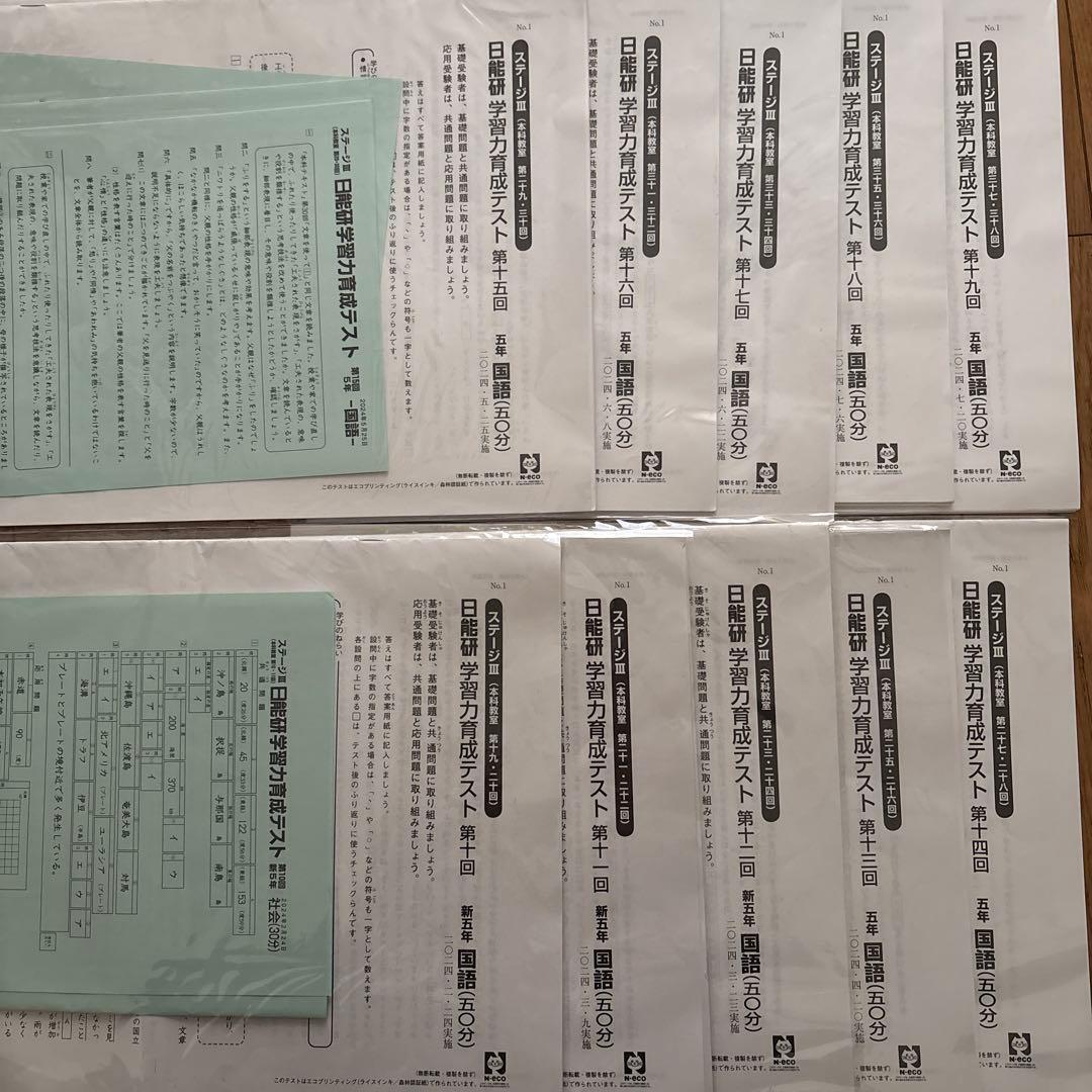 日能研 育成テスト 2024年前期10-19回 日能研 育成テスト 6年 2022年 19回 20回 - メルカリ
