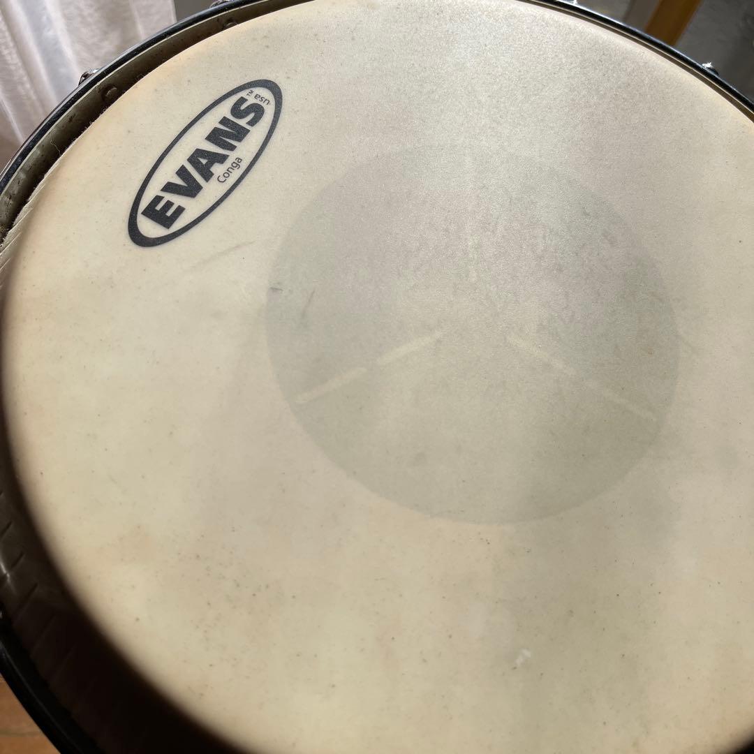LP コンガ EVANSプラヘッド - メルカリ