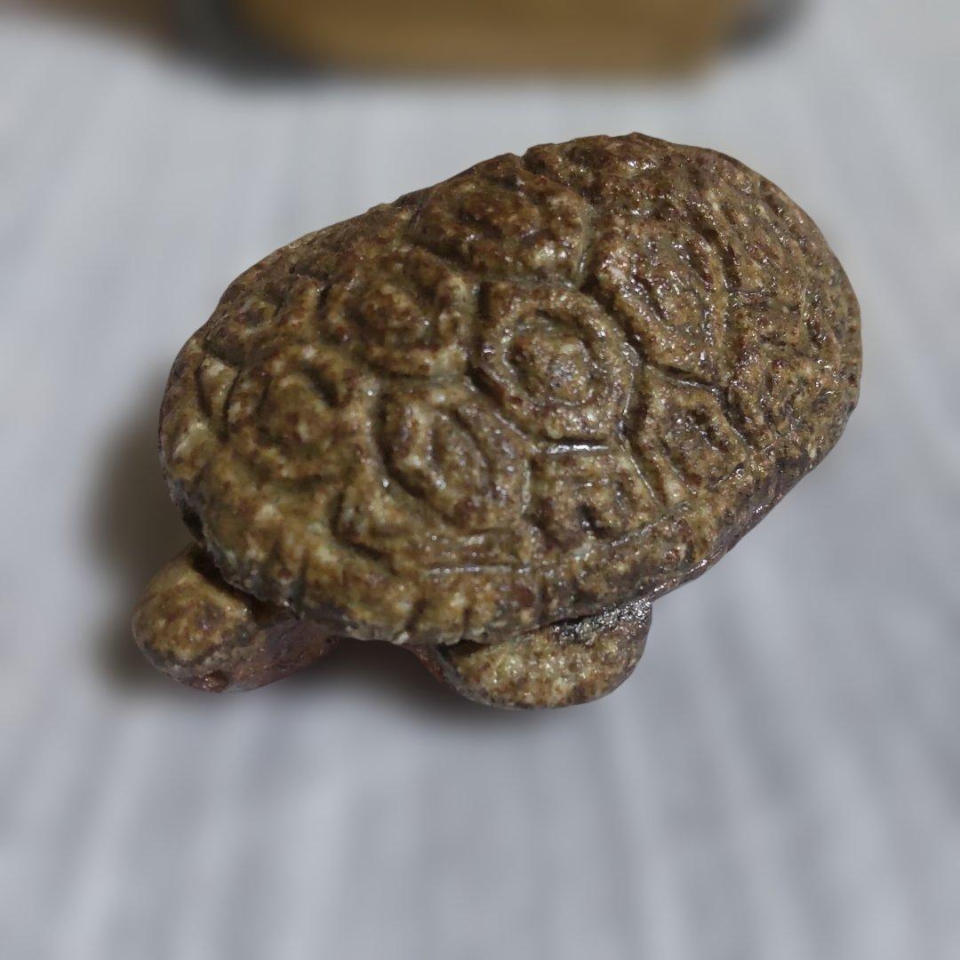 信楽焼 亀 香合