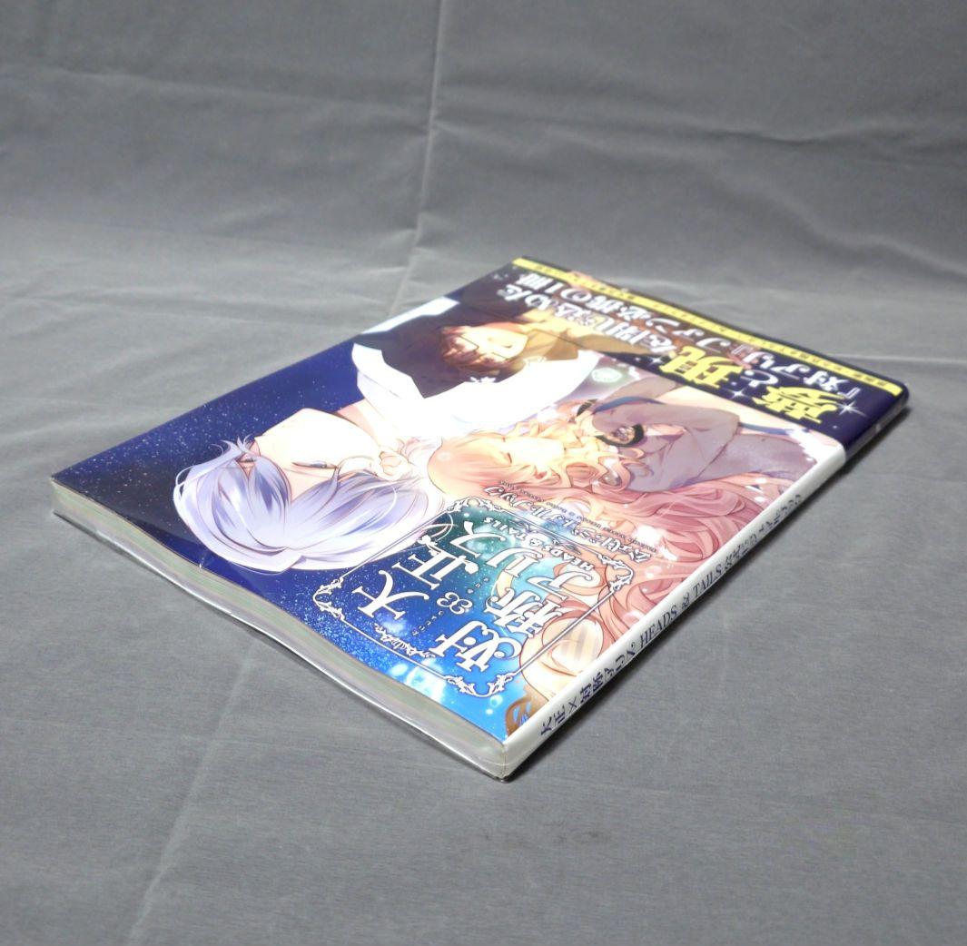 大正×対称アリス HEADS & TAILS 公式ビジュアルブック - メルカリ