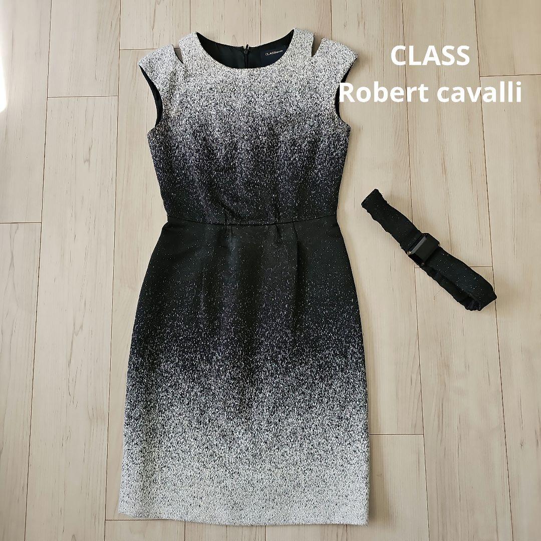 CLASS Roberto Cavalli グラデーションドレス　サイズS
