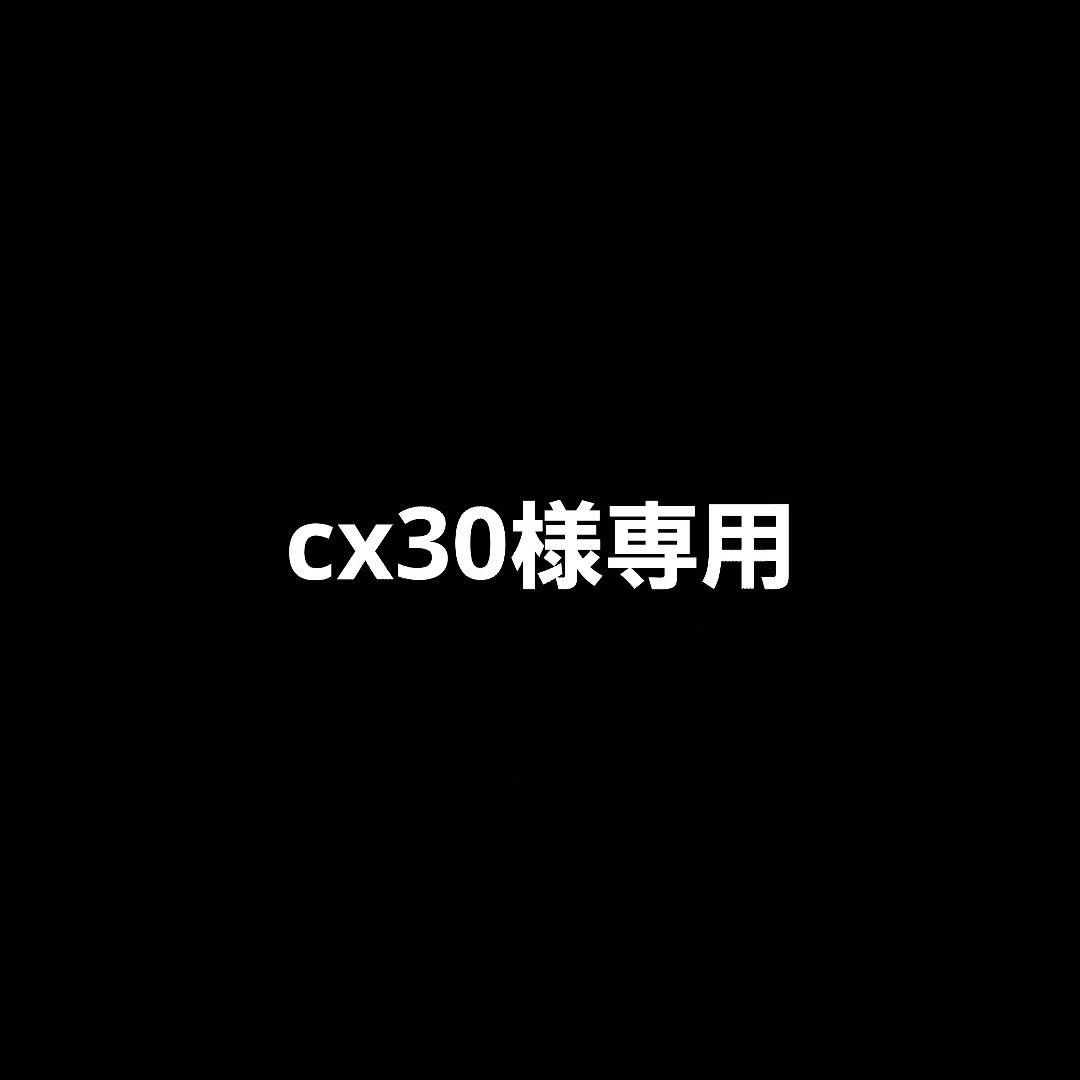 cx30 dynabook VCX83　付属タッチペン付き